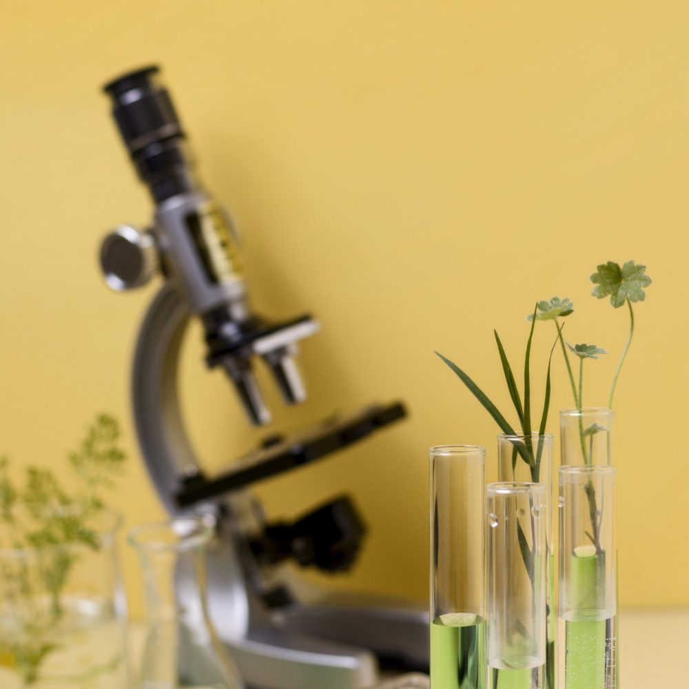 close-up-view-science-concept