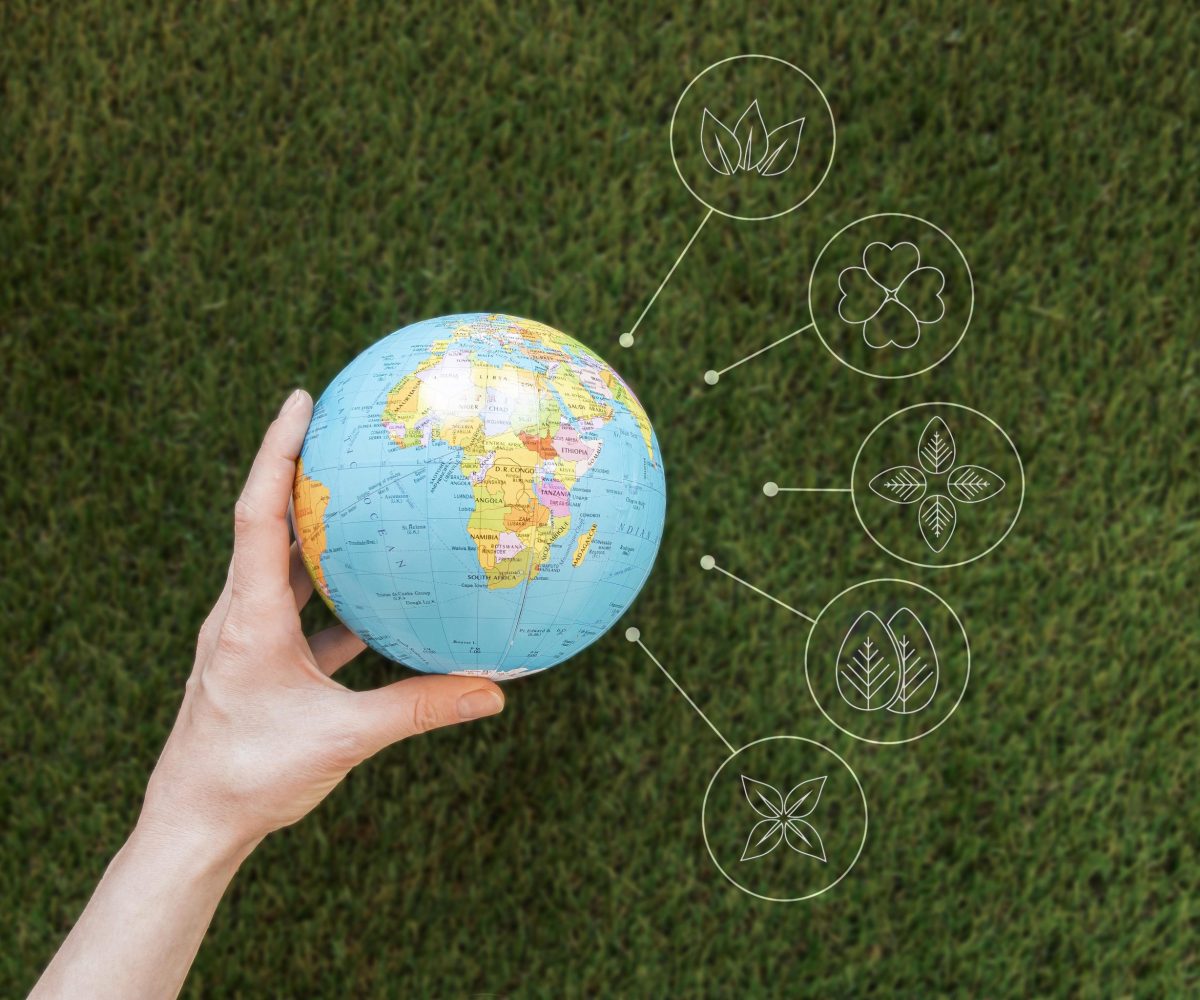 Sustainability and Climate Change