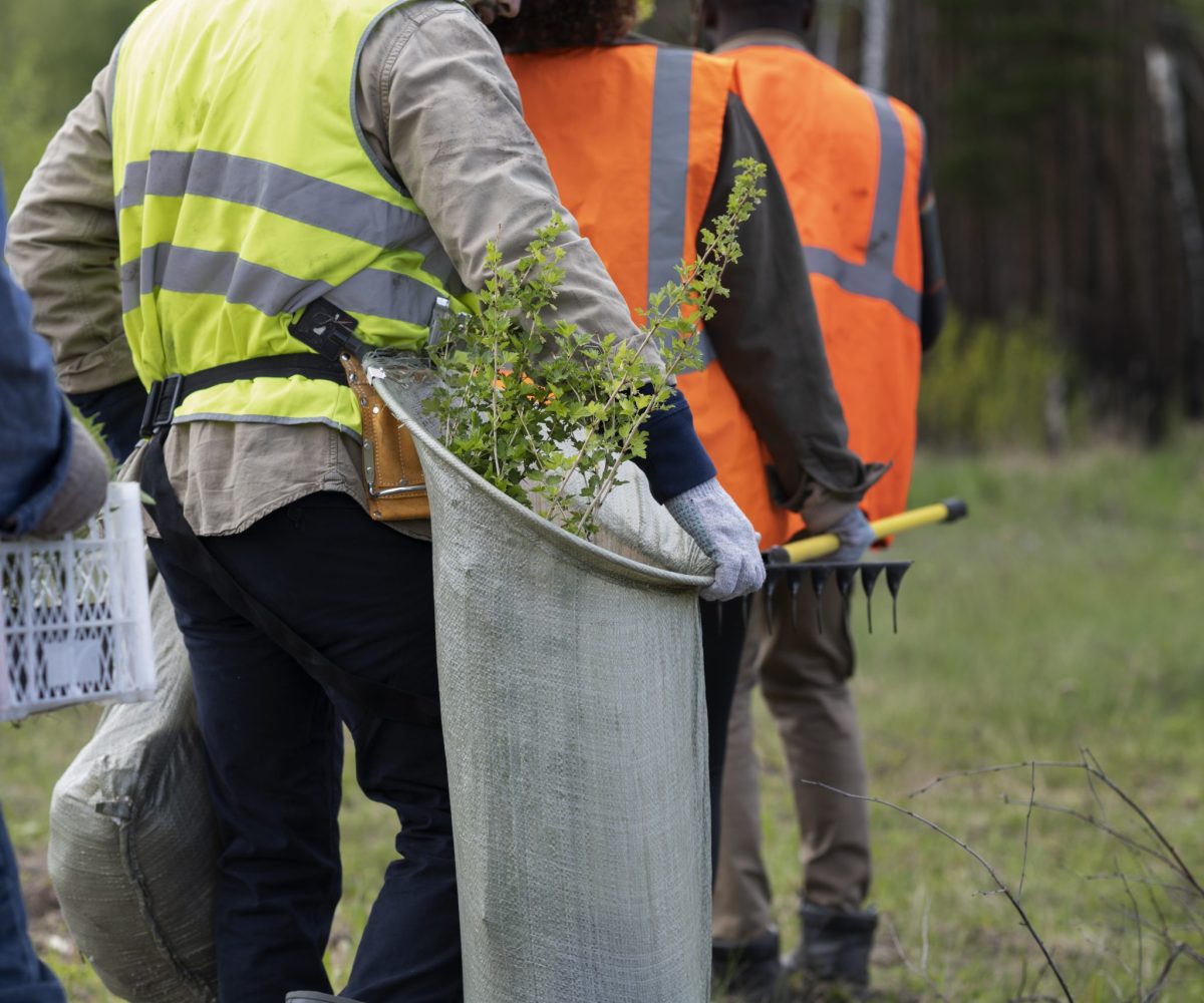 Environmental Permitting